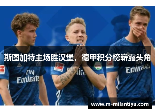 斯图加特主场胜汉堡，德甲积分榜崭露头角